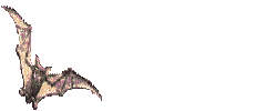 u=2503337555,1113976271&amp;fm=21&amp;gp=0.jpg