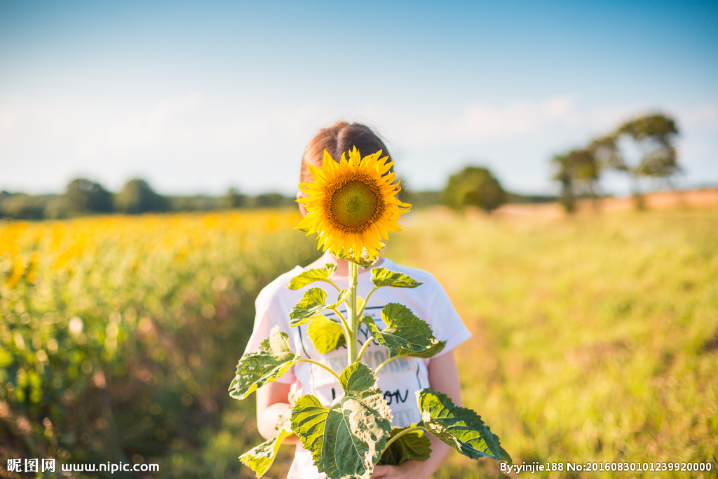 做个向日葵般灿烂的女孩